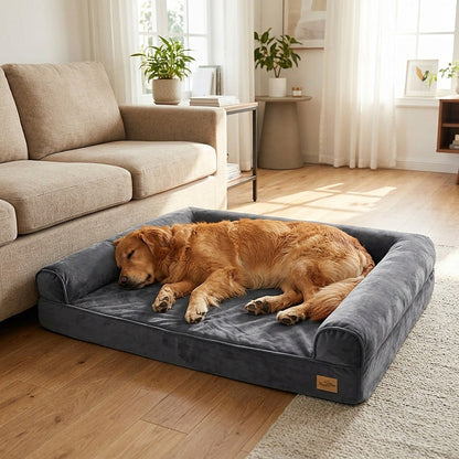 Golden retriever asleep on the gray orthopedic dog couch bed beside a sofa