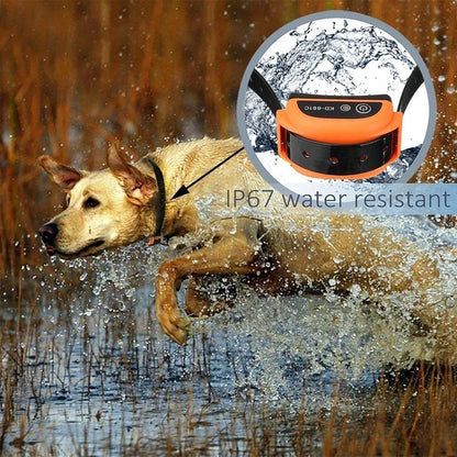 Wireless Dog Fence with Rechargeable Training Collar