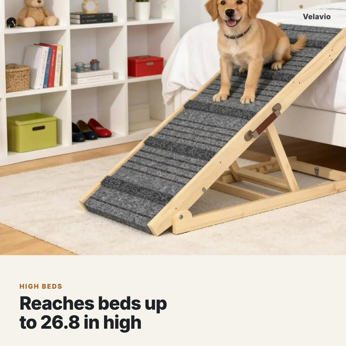 Puppy sitting on the dog ramp set against a high bed