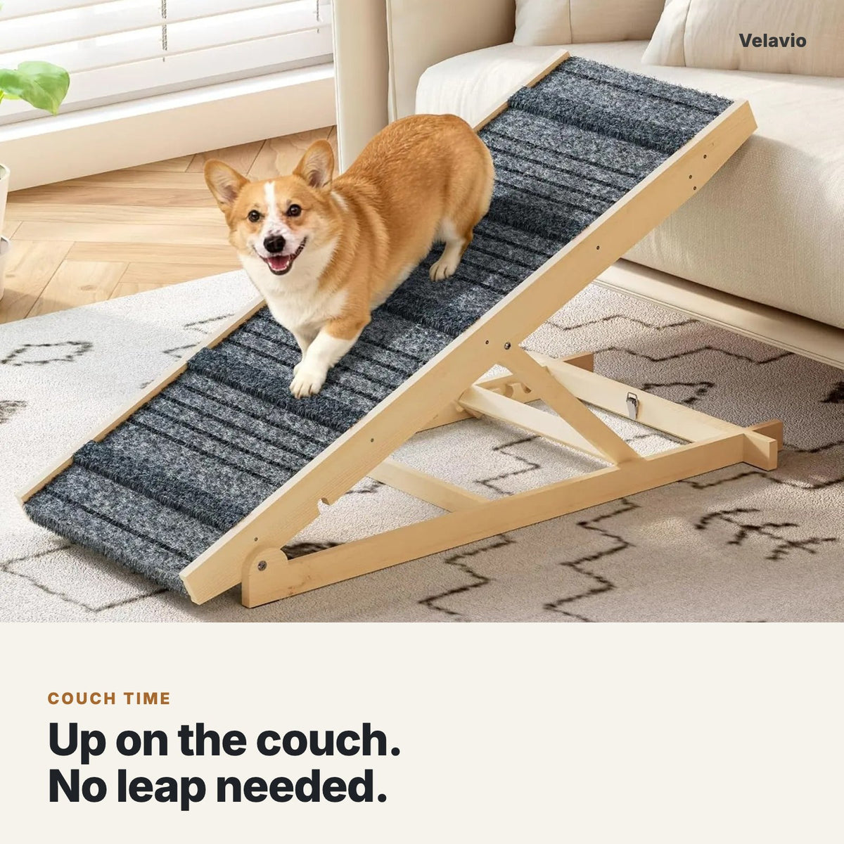 Corgi walking down the dog ramp from a couch