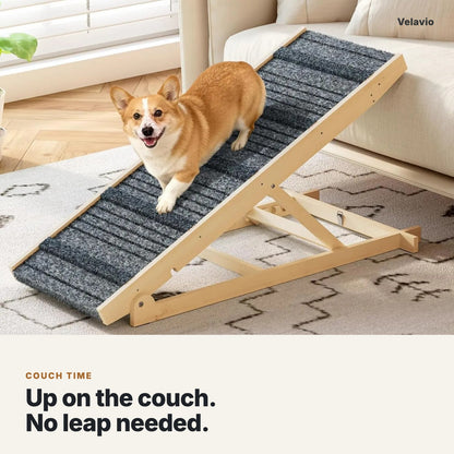 Corgi walking down the dog ramp from a couch