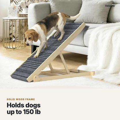Beagle walking down the solid wood dog ramp, holds dogs up to 150 lb